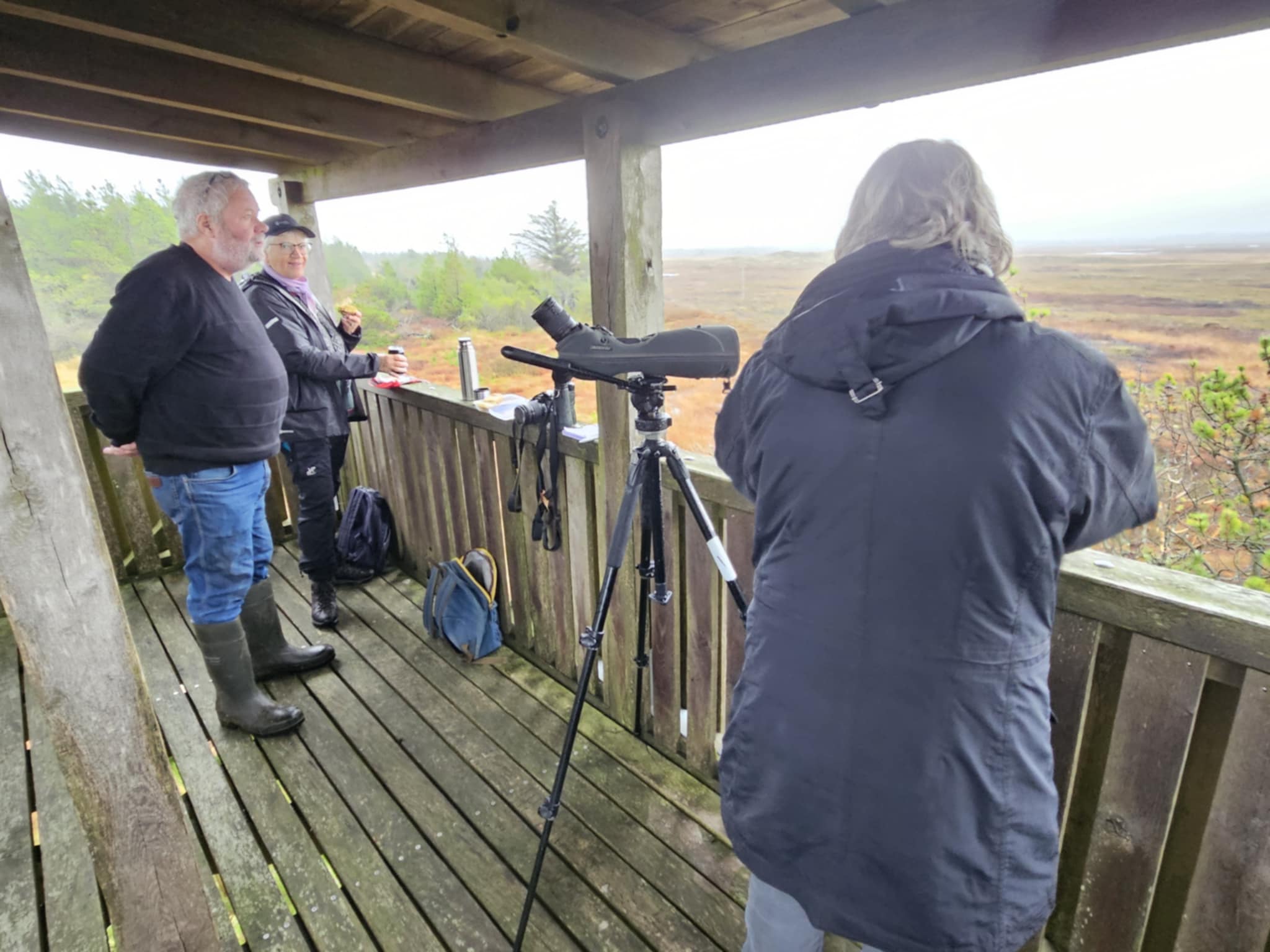 Ålvand Klithede 2 13 11 2025