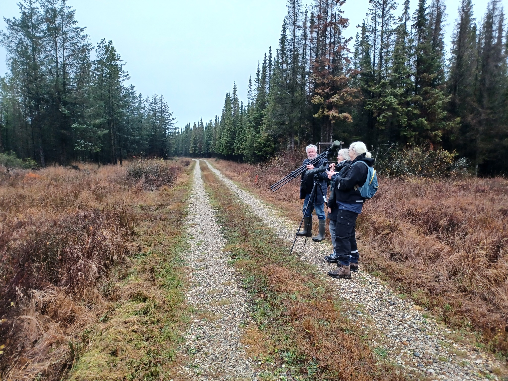 Ålvand Klithede 13 11 2025